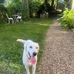 Panzió Halte Dans Le Perche - 3 Route De La Saussaie - Bubetre Bubertre